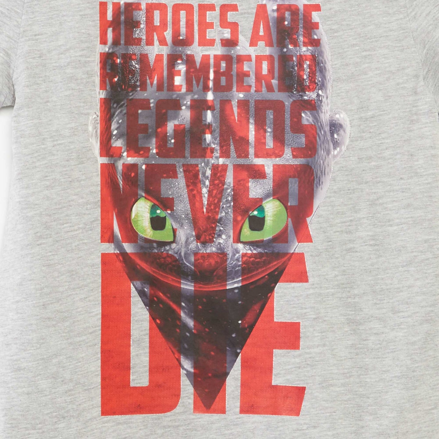 T-shirt 'Dragons' 'Universal' GRIS