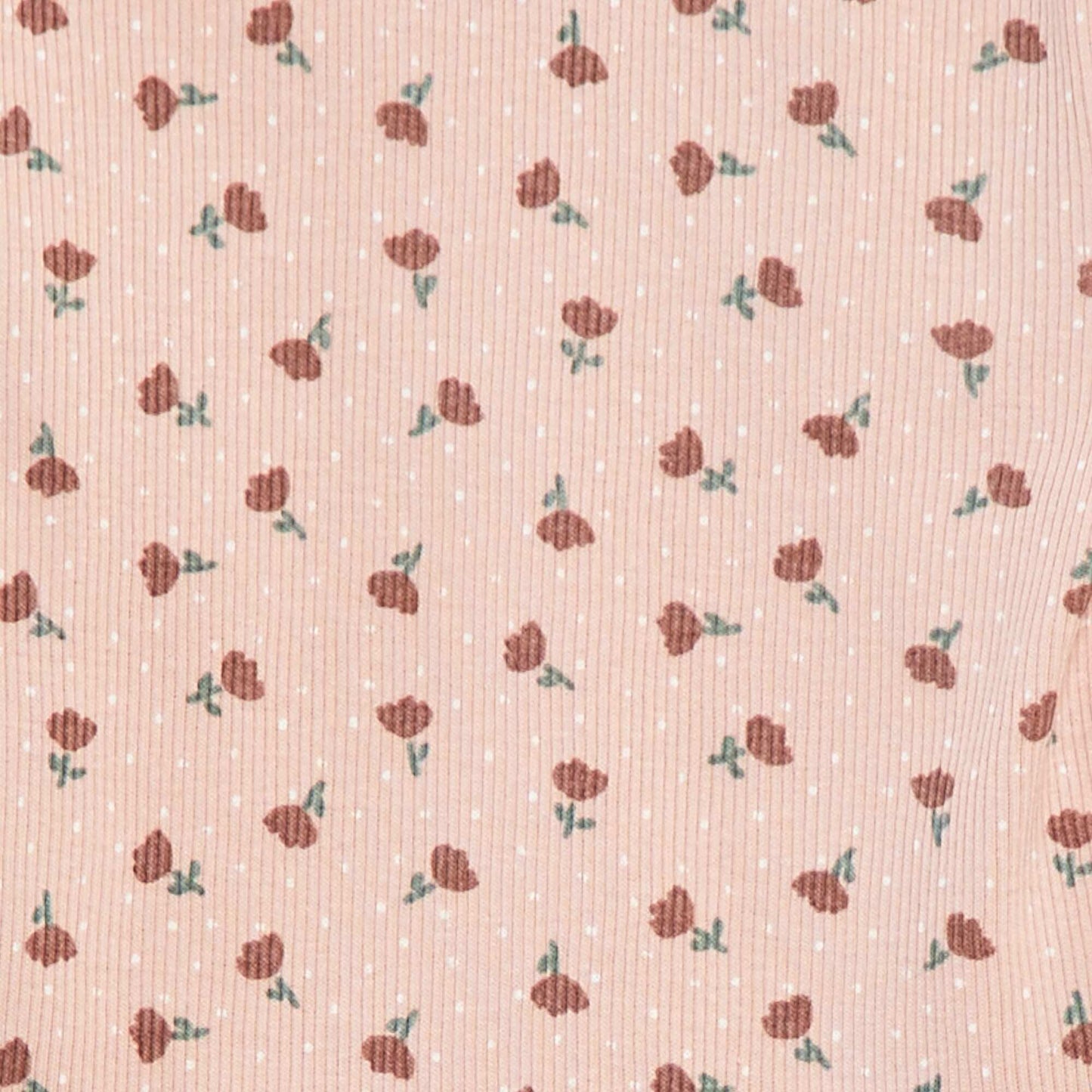 DLT83_9_ZC2