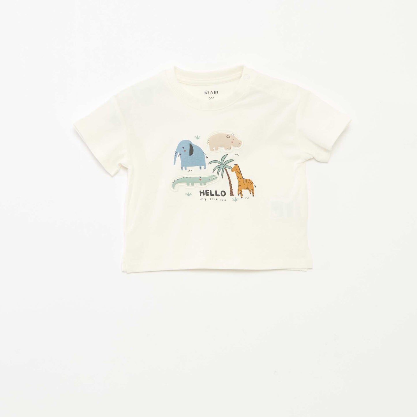 DMA65_3_ZC1