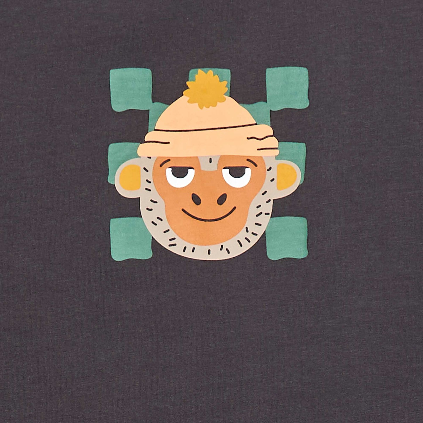 DVS41_1_ZC2