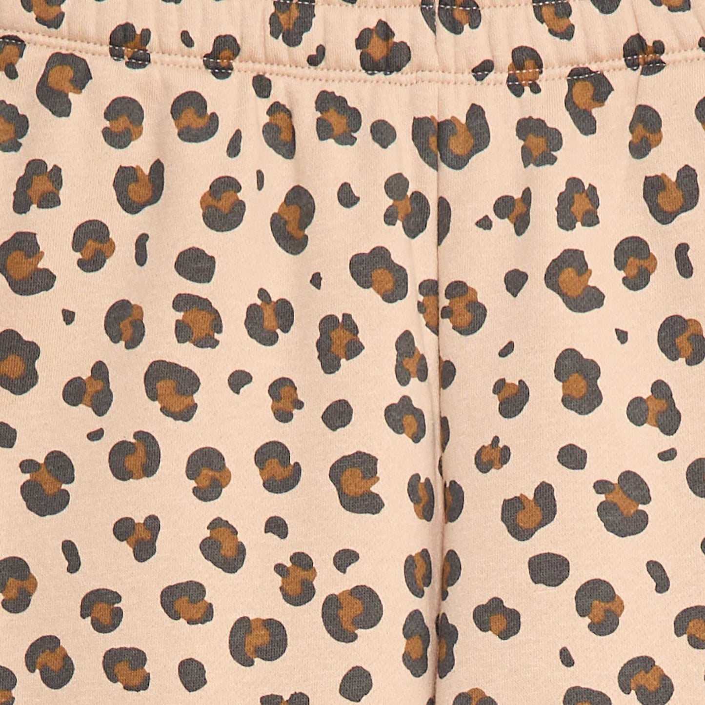 DVS42_5_ZC3
