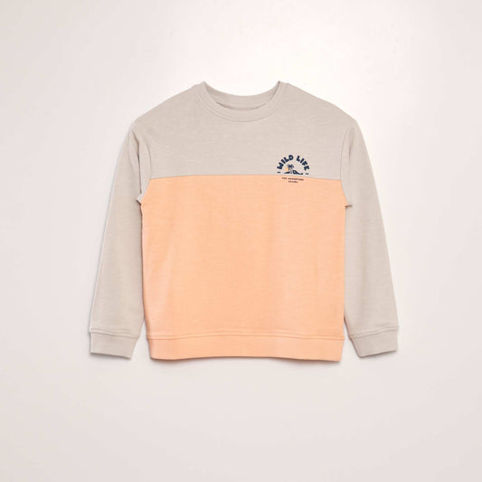 Sweat en french terry esprit color block Orange