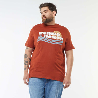 T-shirt en maille jersey imprimé avec manches courtes MARRON