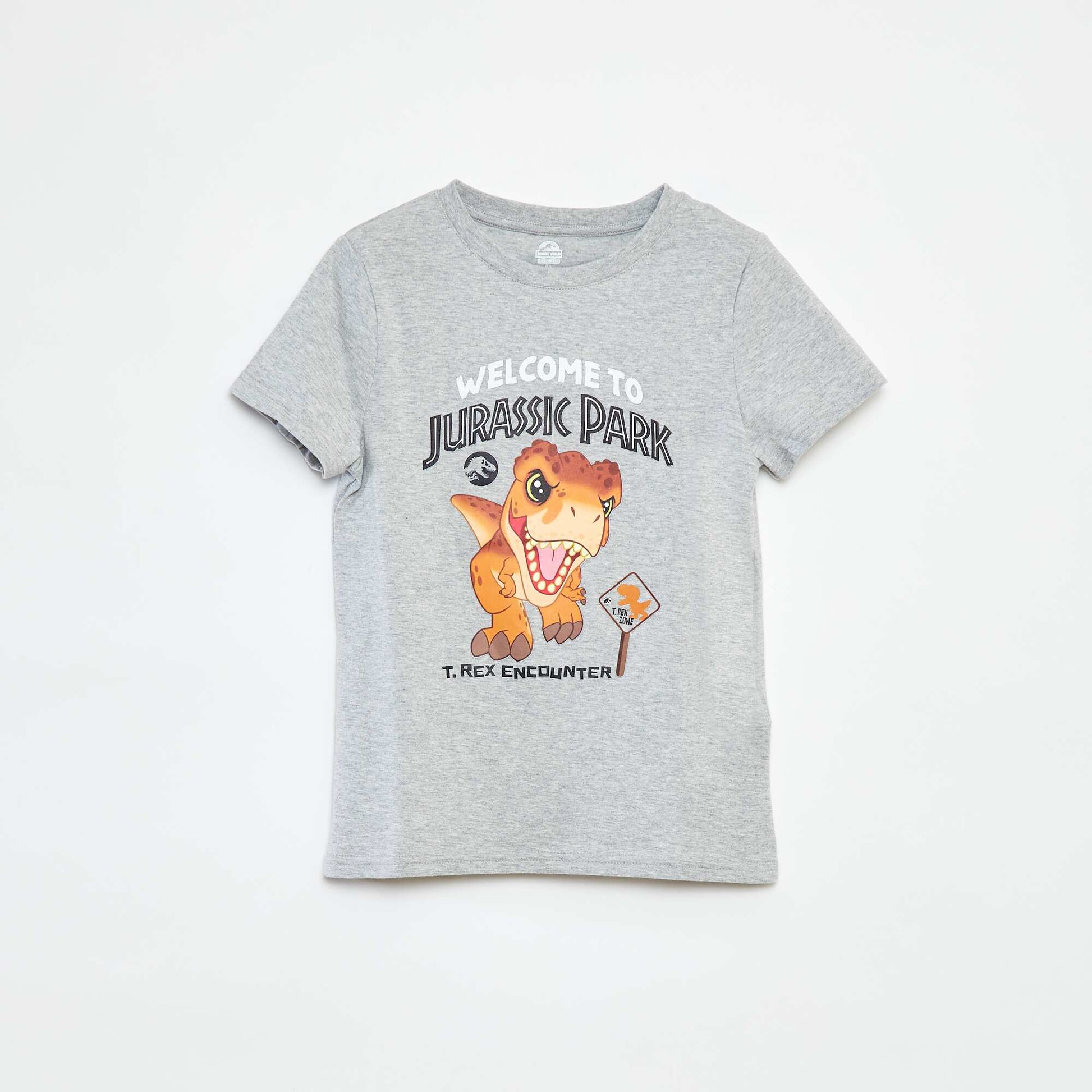 T-shirt à manches courtes 'Jurassic World' GRIS