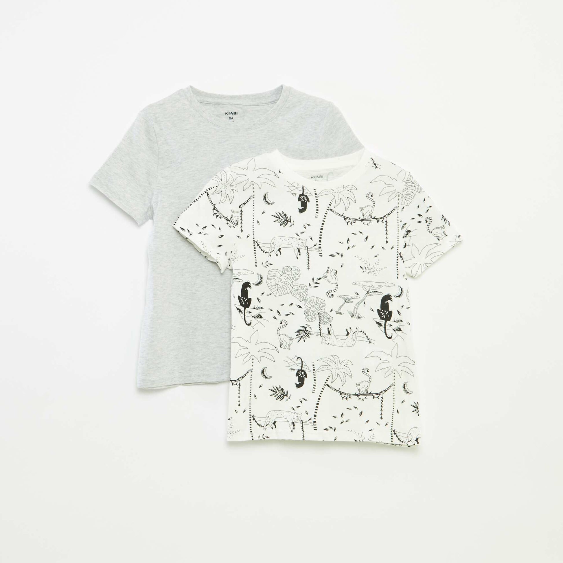 Lot de 2 t-shirts à manches courtes et col rond BLANC