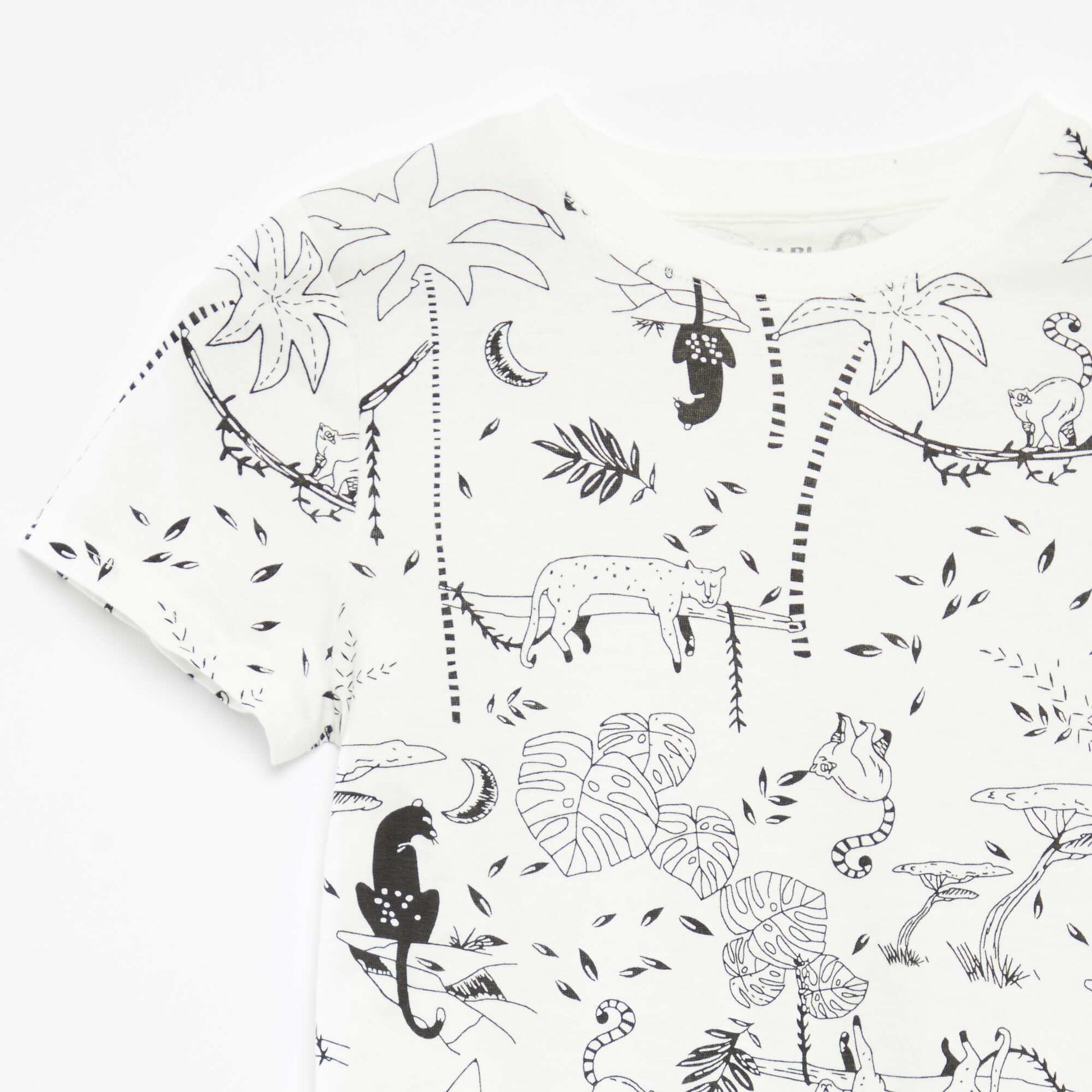 Lot de 2 t-shirts à manches courtes et col rond BLANC