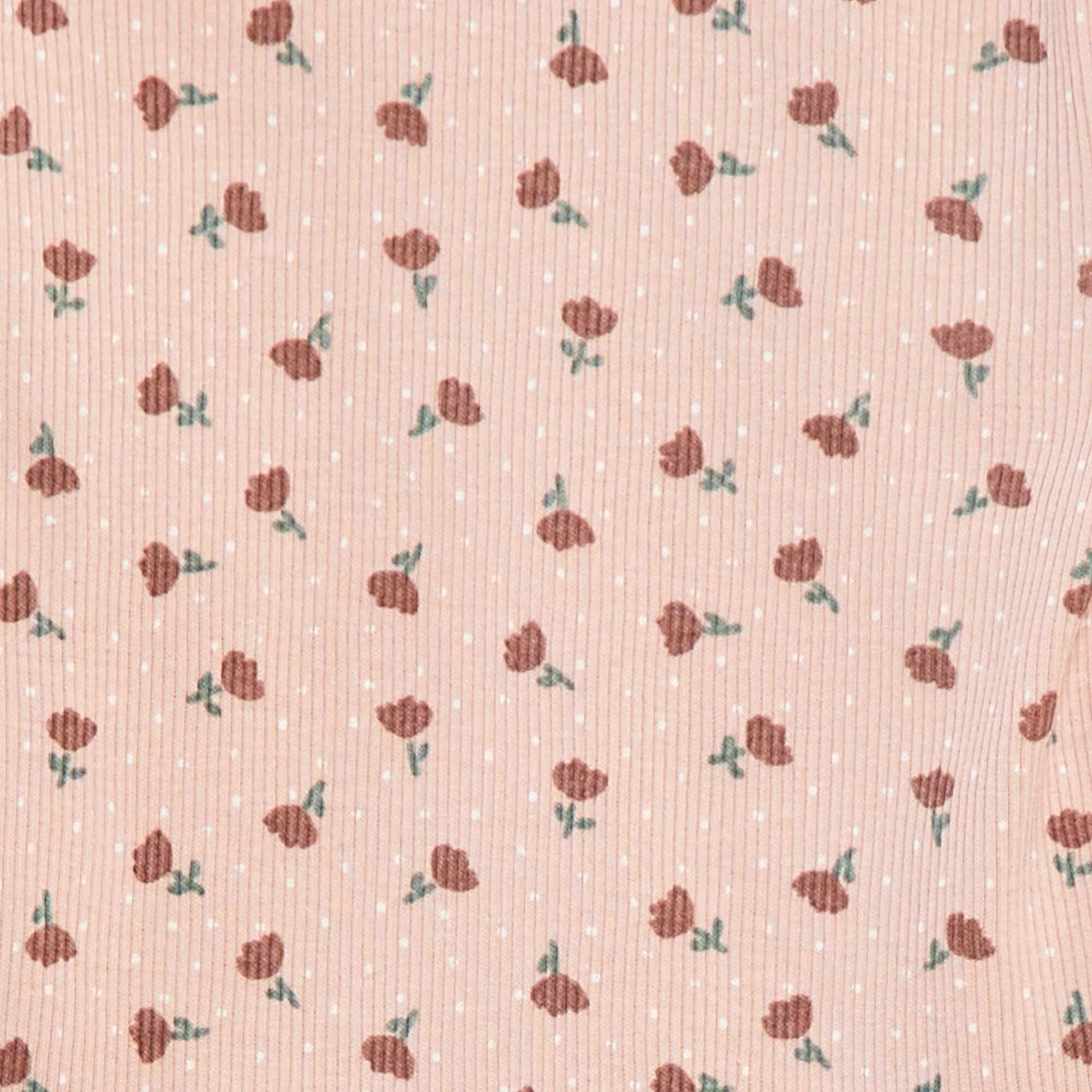 DLT83_9_ZC2