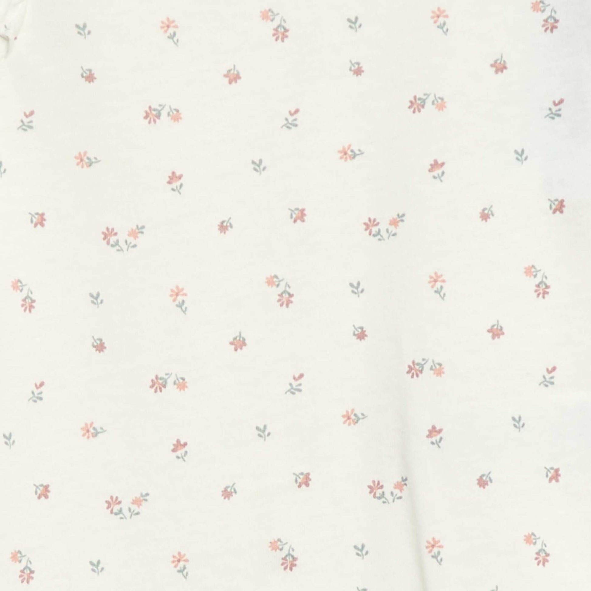DSQ58_4_ZC2