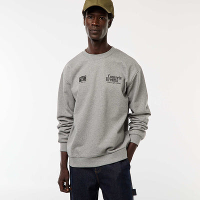 Pull en maille à col rond avec un imprimé recto-verso GRIS