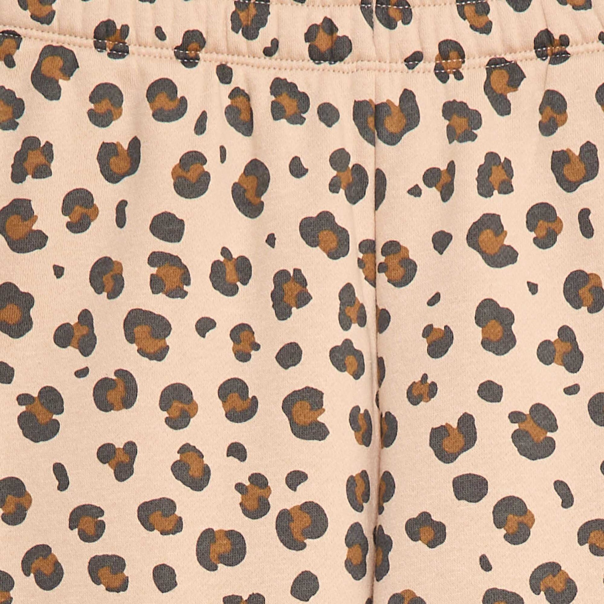 DVS42_5_ZC3
