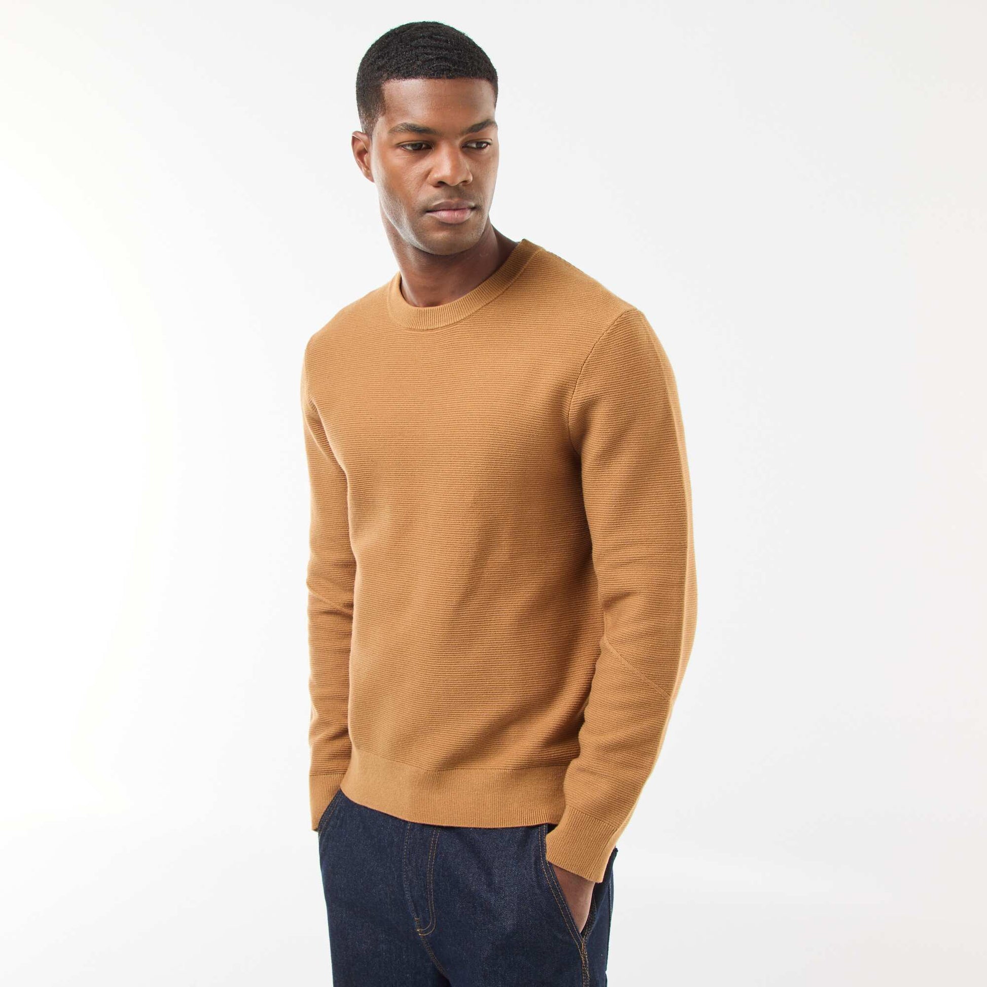 Pull en maille fine jauge uni à col rond BEIGE