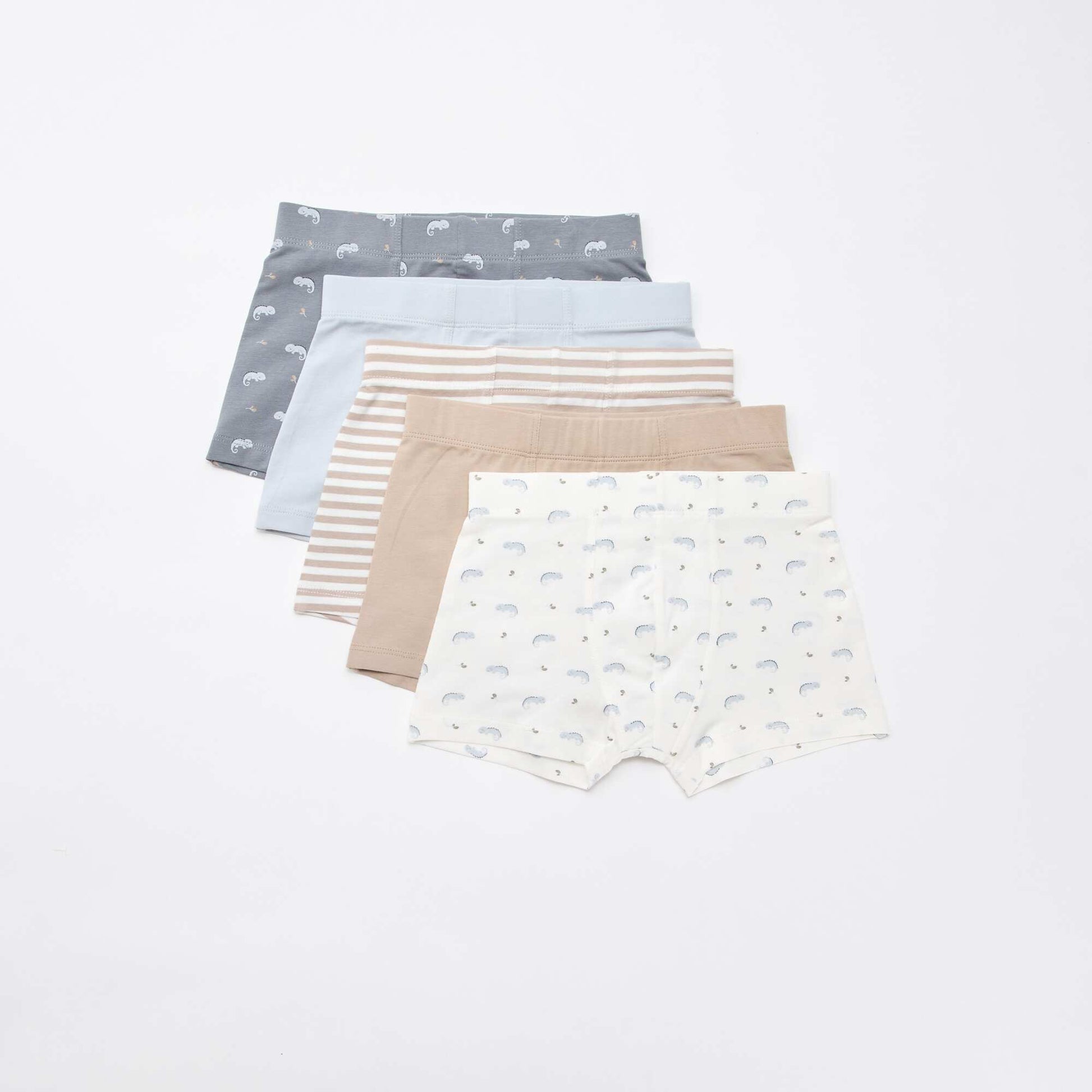 Lot de 5 boxers fantaisies BLEU