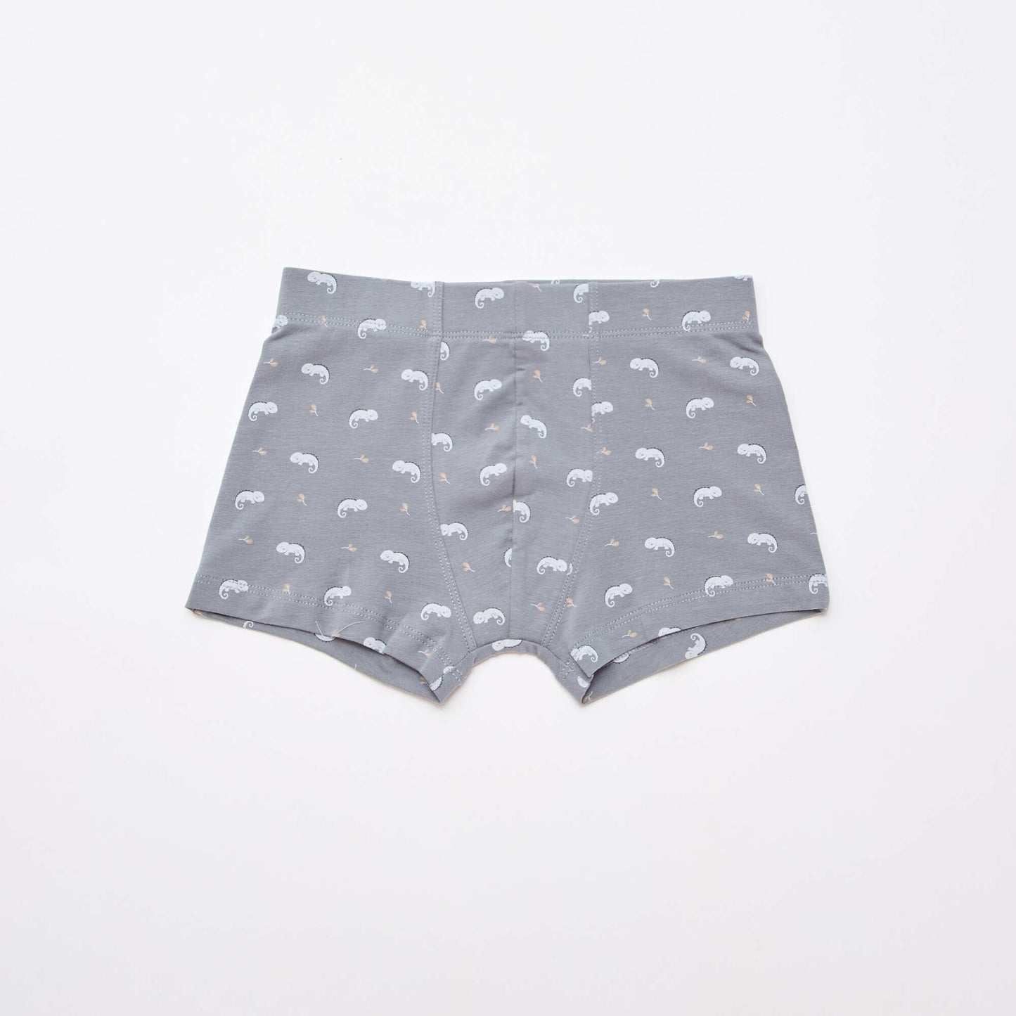 Lot de 5 boxers fantaisies BLEU