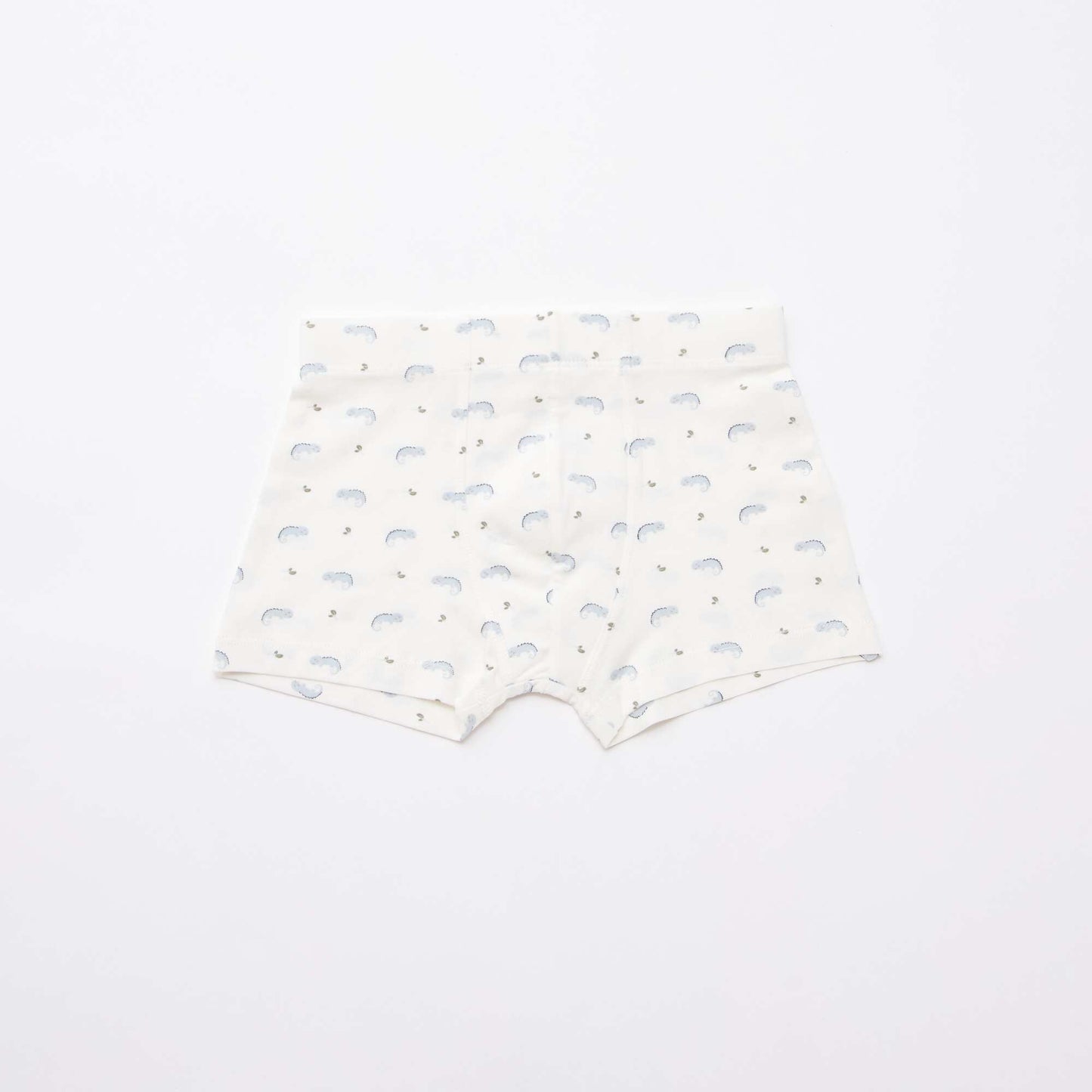 Lot de 5 boxers fantaisies BLEU