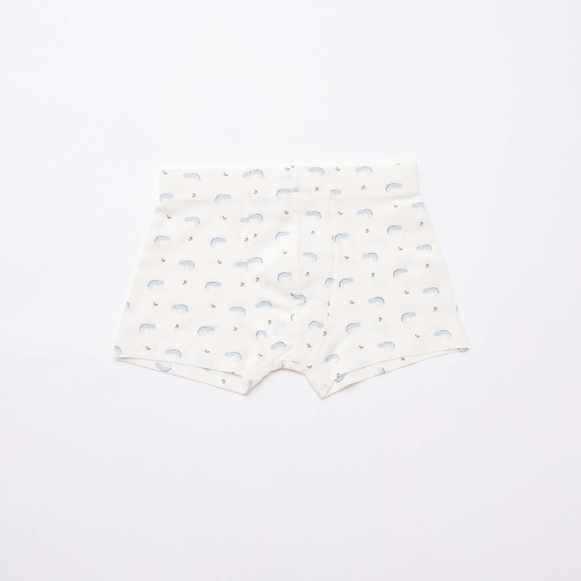 Lot de 5 boxers fantaisies BLEU