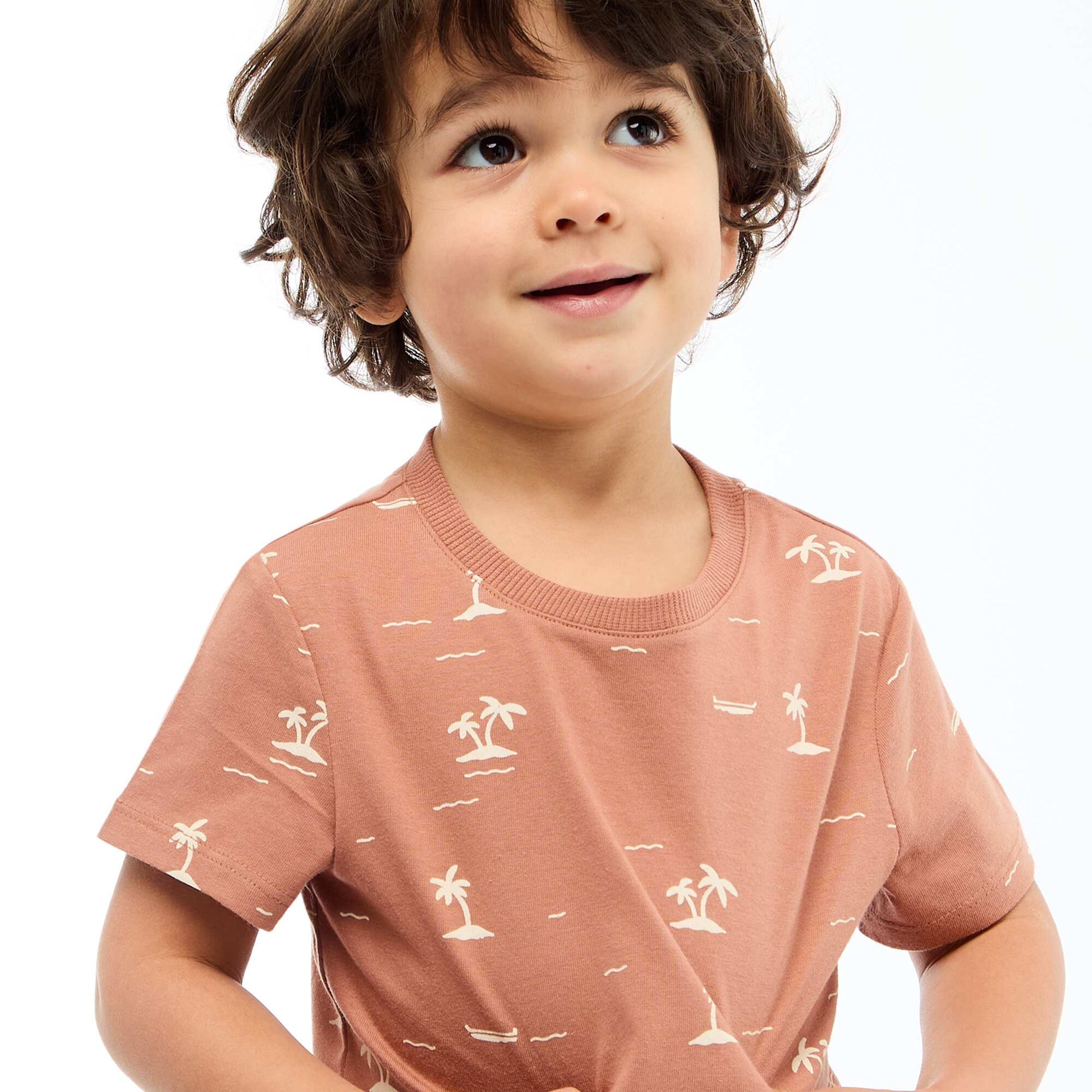 T-shirt uni en jersey coton MARRON