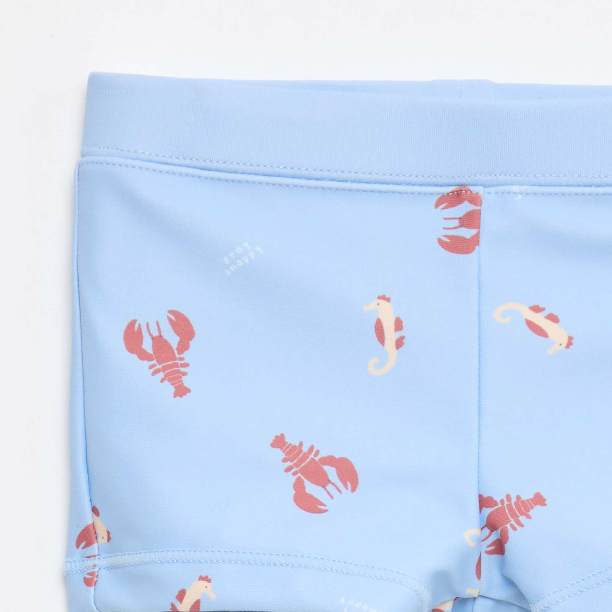 Lot de 2 boxers de bain BLEU