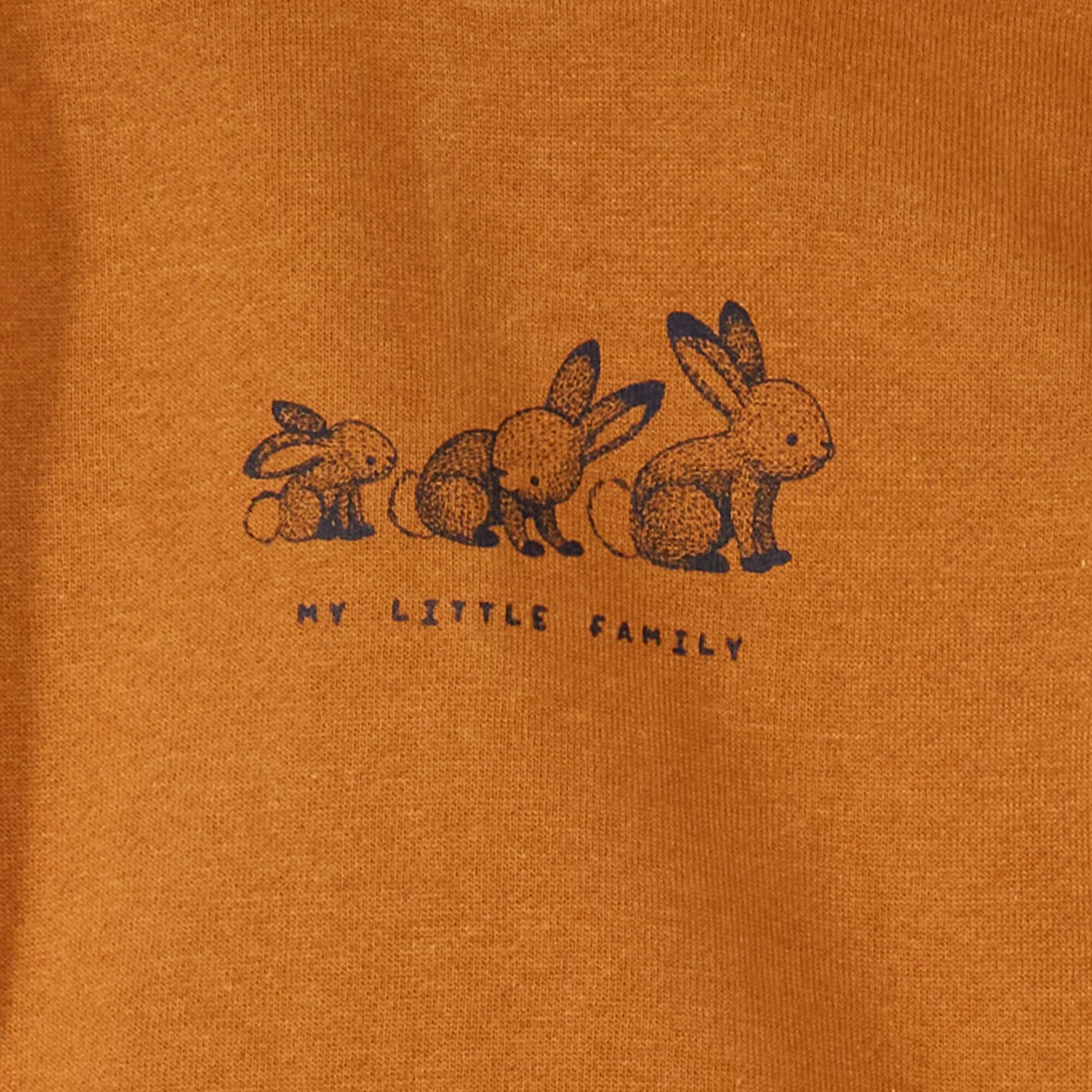 Sweat en molleton fin Marron