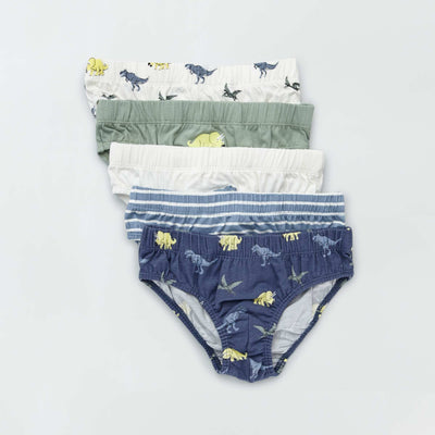 Lot de 5 slips en coton Bleu/vert/blanc