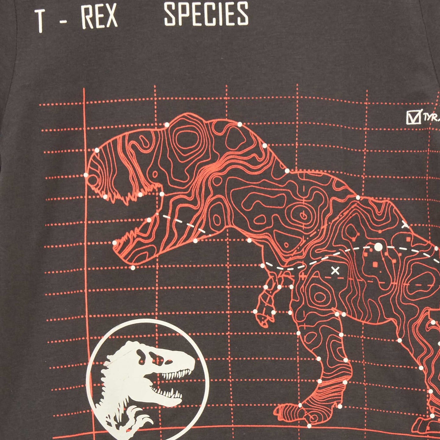 T-shirt 'Jurassic Park' en jersey avec imprim relief Gris